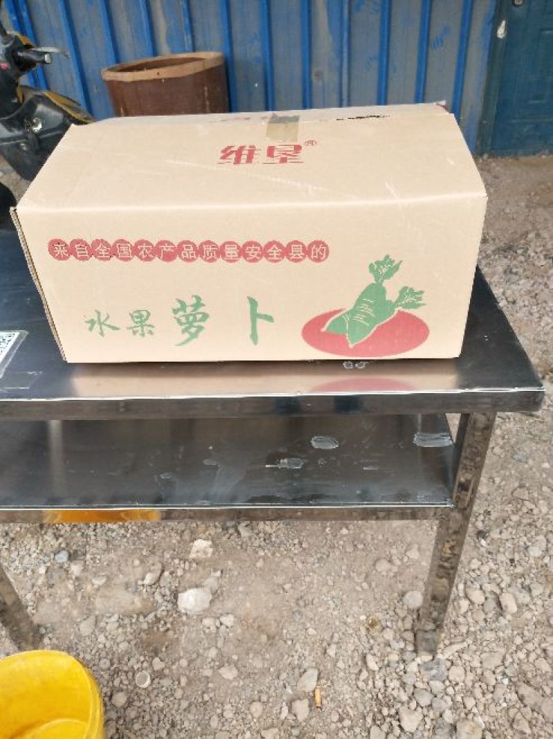 水果萝卜1.5-2.5斤起，口感甜脆，大棚种植，现货