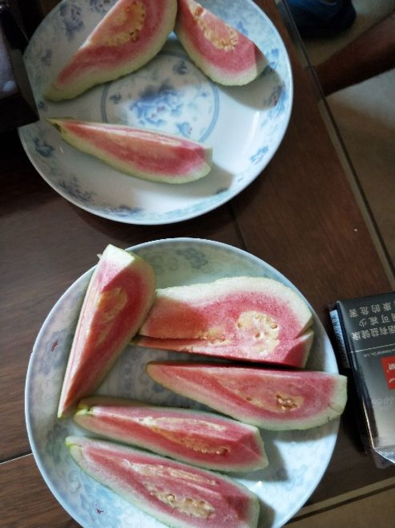 红心西瓜番石榴苗