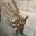南天竹50~80cm