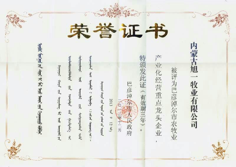肉牛400~600斤