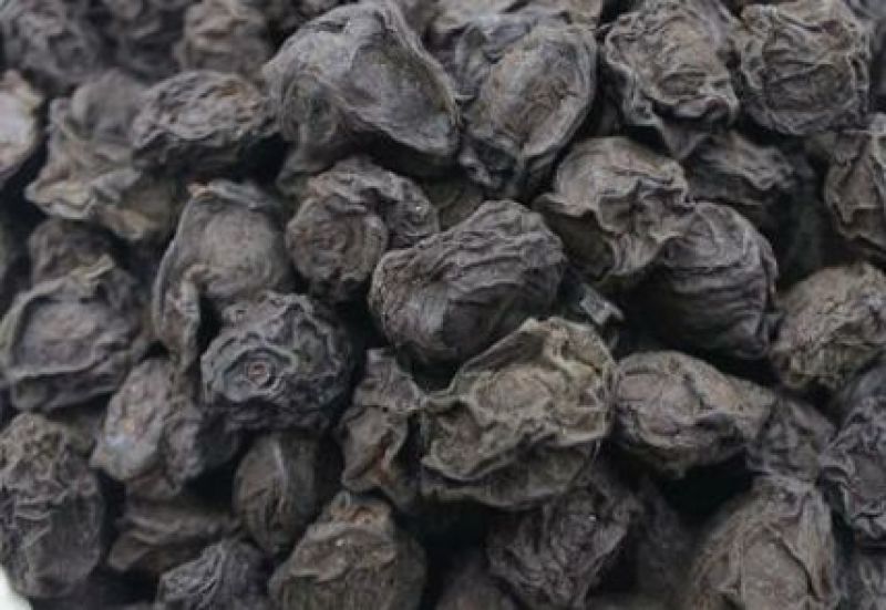 乌梅1.5cm以上各种规格中药材饮片