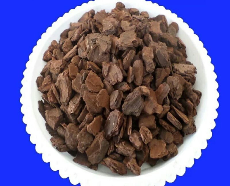 松树皮