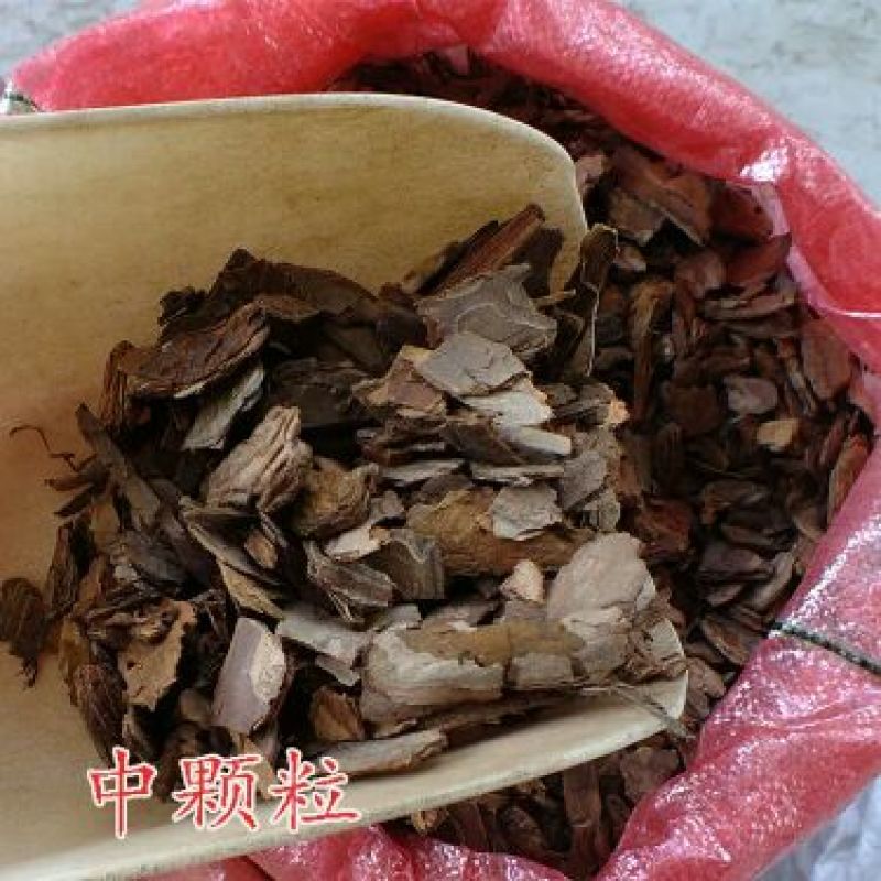 松树皮