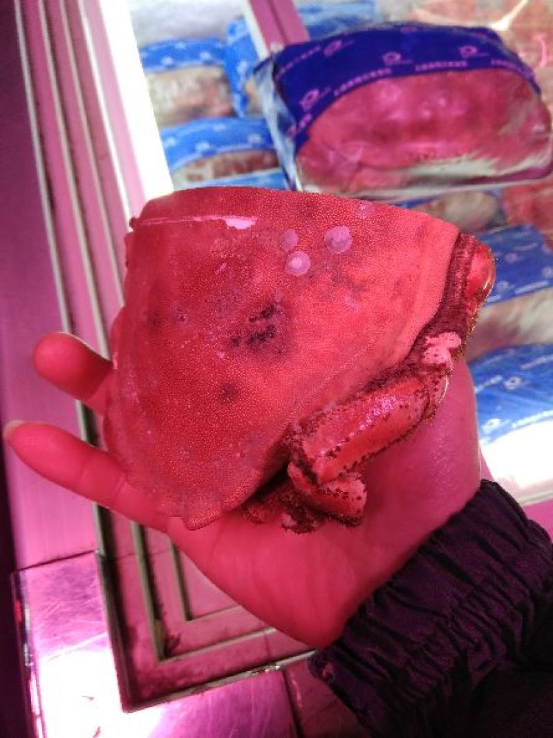 面包蟹食用
