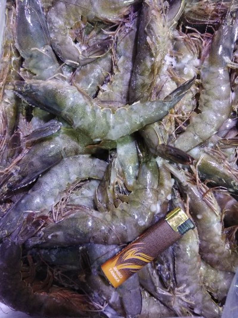面包蟹食用