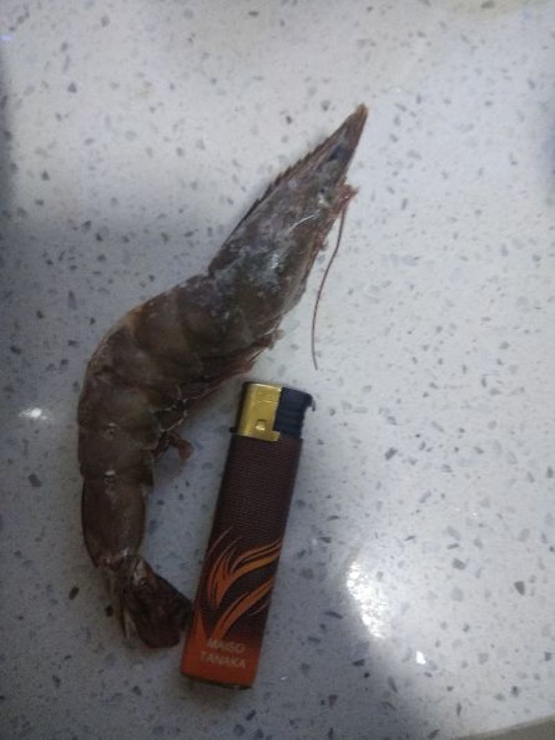 面包蟹食用