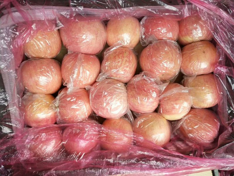 红富士纸加膜75起步需要的老板联系吧