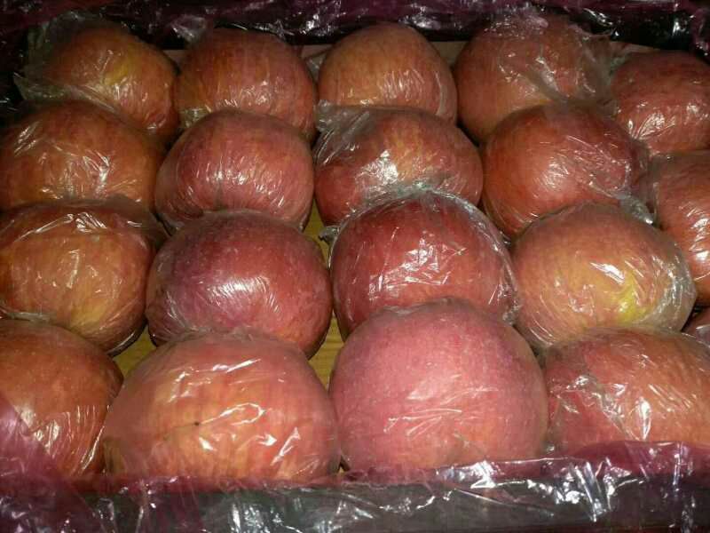 红富士纸加膜75起步需要的老板联系吧