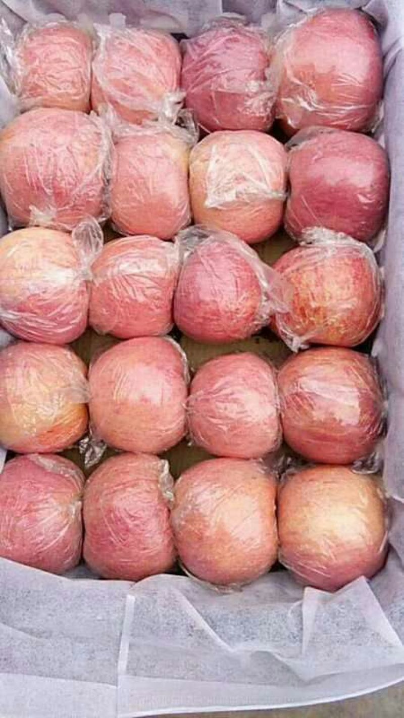 红富士纸加膜75起步需要的老板联系吧