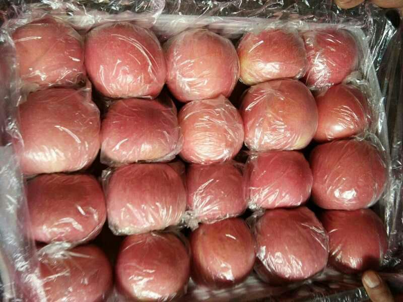 红富士纸加膜75起步需要的老板联系吧