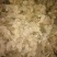 白术20~25g