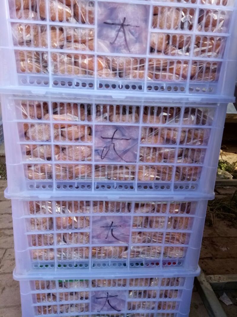 柿饼1~2两