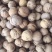 山西核桃25年新货农户货果仁饱满仁子好量大优惠