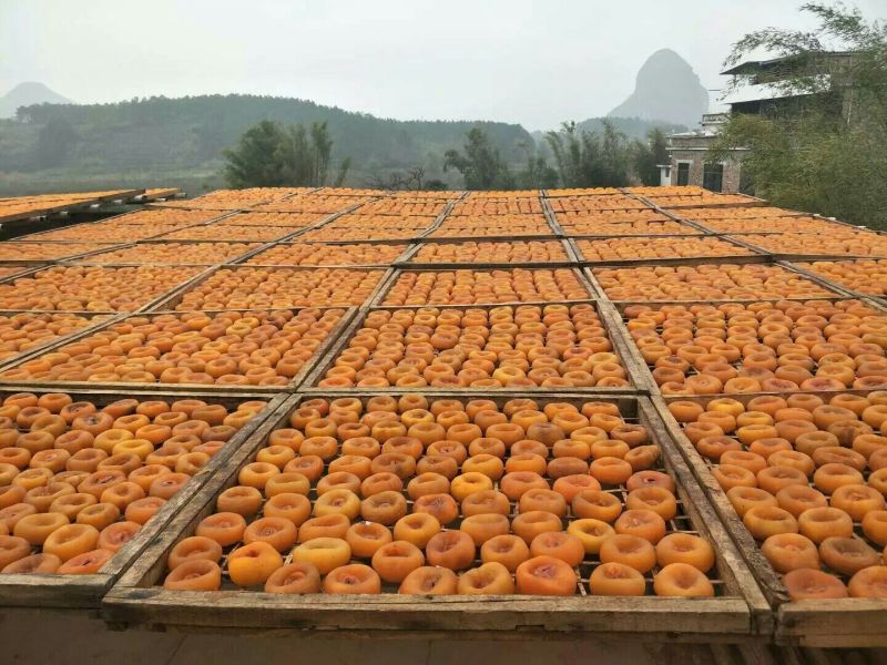 柿饼1~2两
