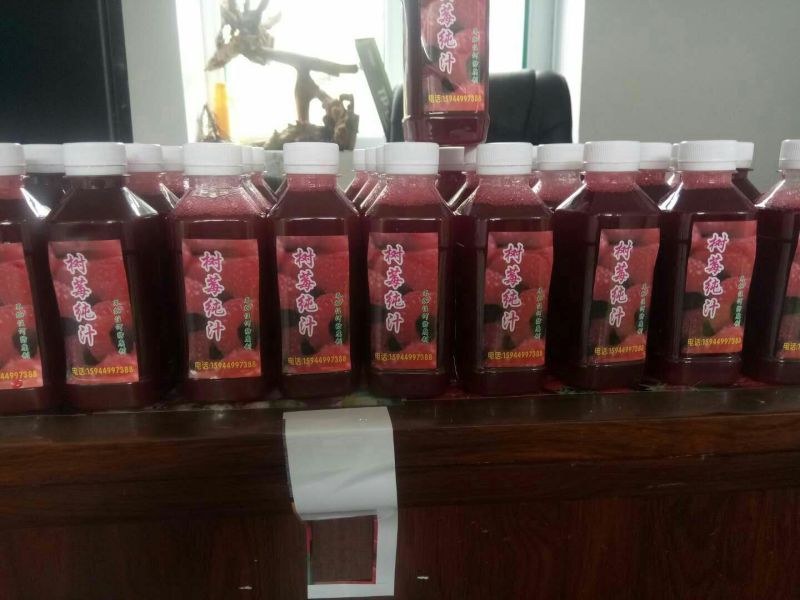 单季树莓苗2年苗当年结果，早熟保证成活率