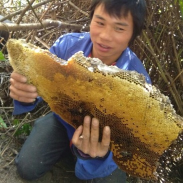 蜜蜂平箱装