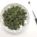 三七花无柄
