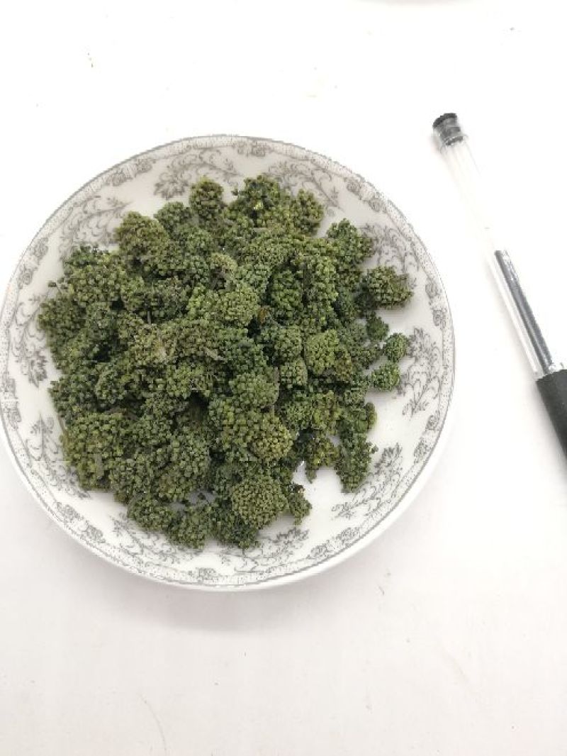 三七花无柄