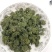 三七花无柄