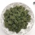三七花无柄