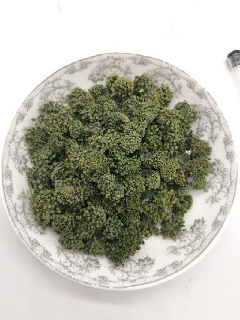三七花无柄