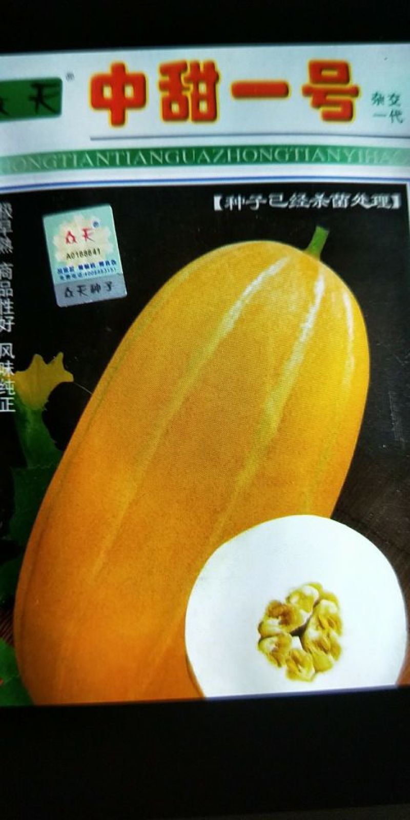 甜瓜种子