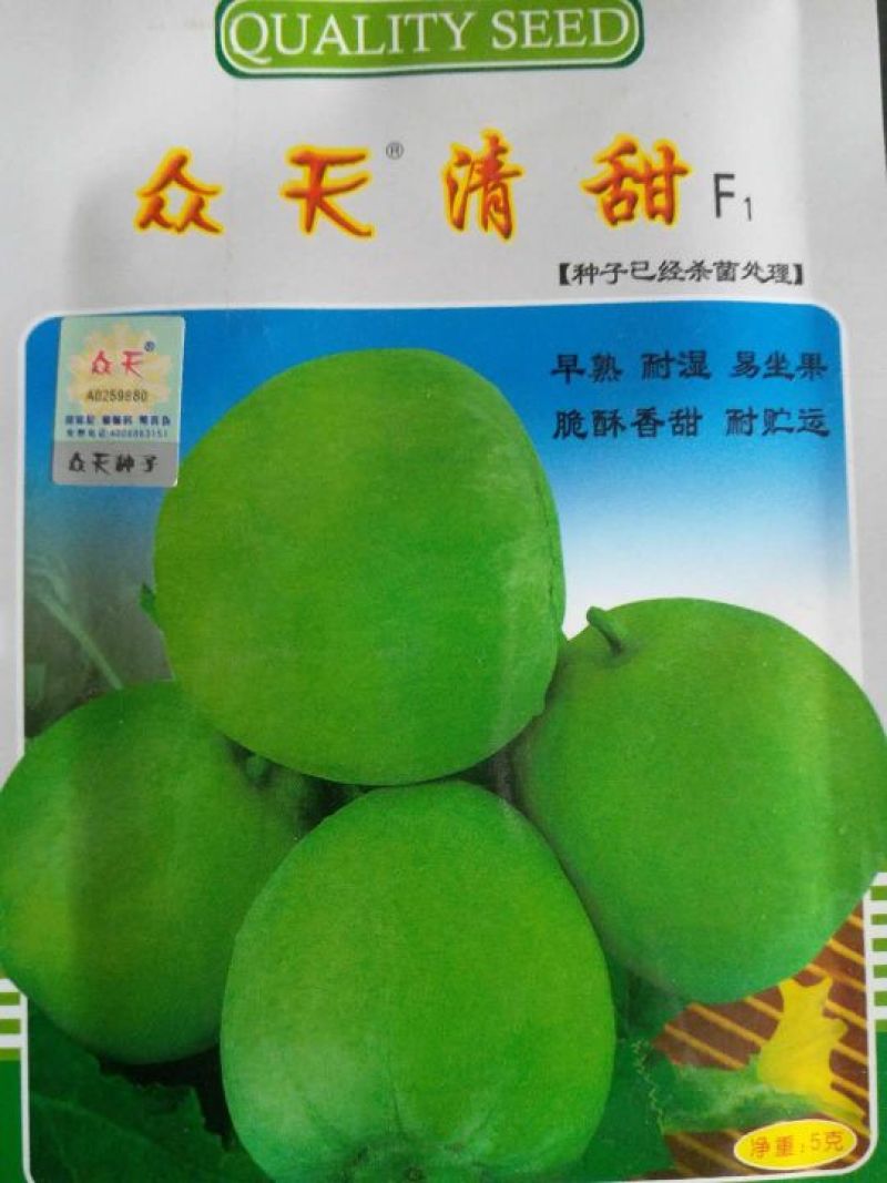 甜瓜种子
