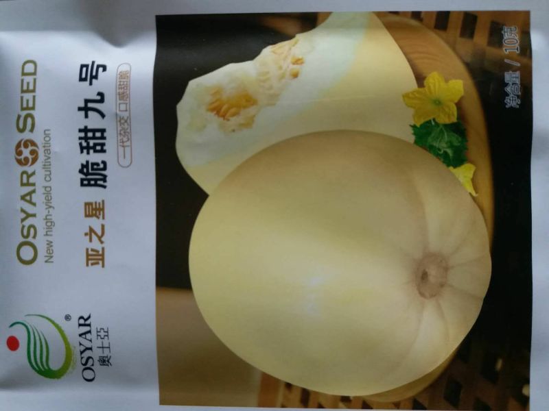 甜瓜种子