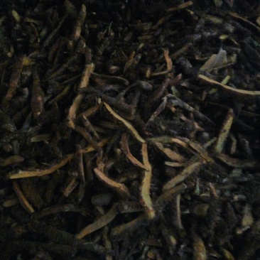骨碎补