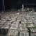 儿菜5两以上