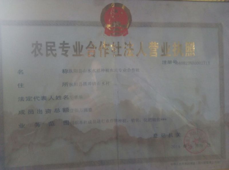 糯稻谷1级