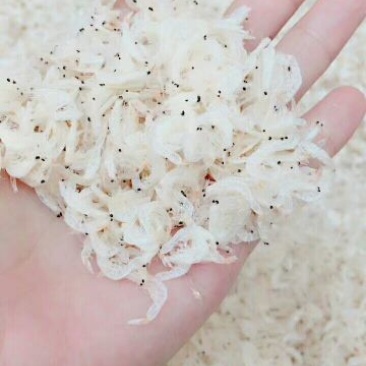虾皮特级