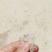 虾皮特级
