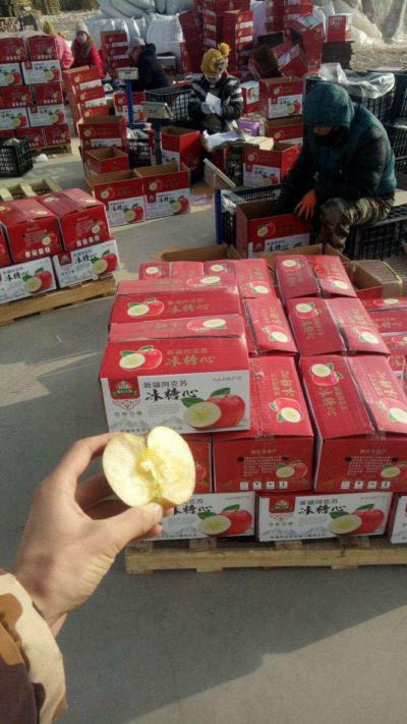 冰糖心苹果80mm以上光果