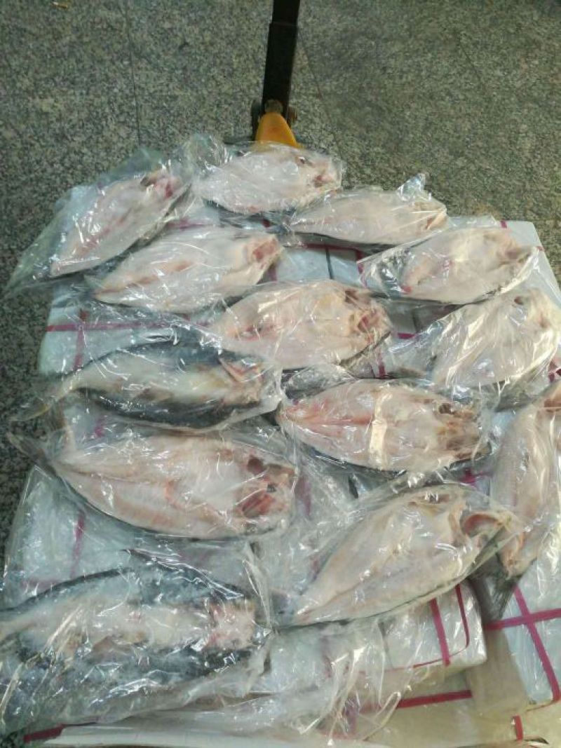 巴沙鱼
