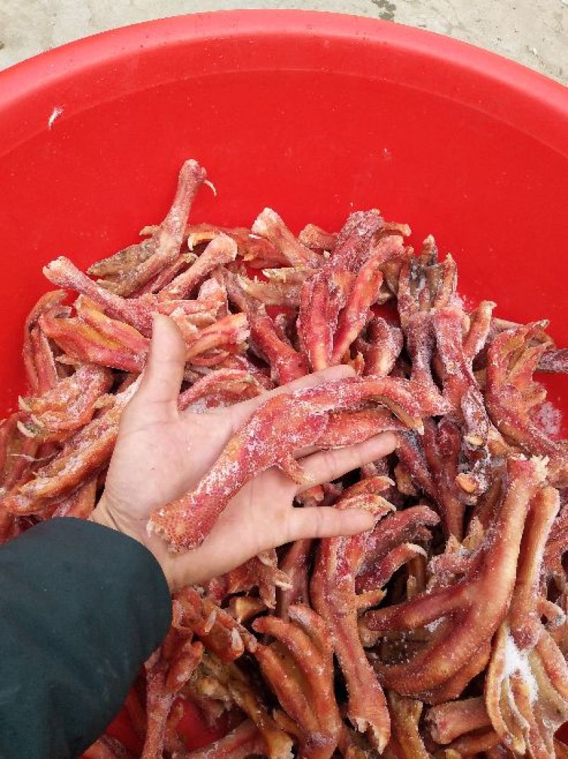 成年大白鹅肉鹅6~8斤