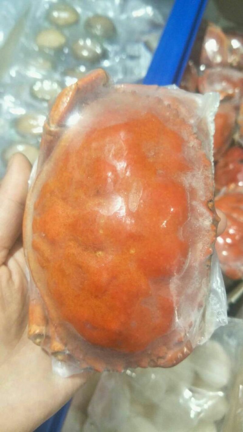 黄金蟹400~600g/只