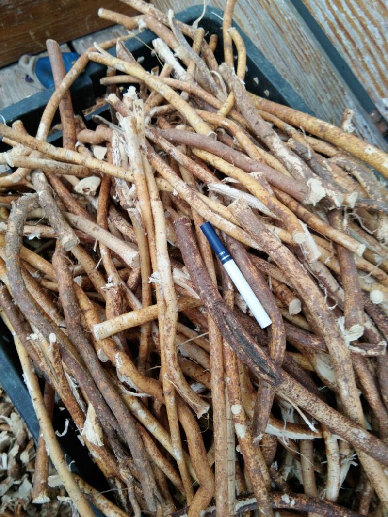 五指毛桃无硫中细根切段质量好野生的