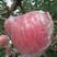 临猗黄土高坡红富士苹果80mm以上纸+膜袋红富士，