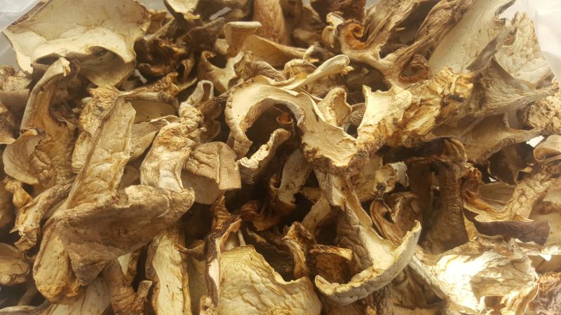 银盘蘑菇特级4cm