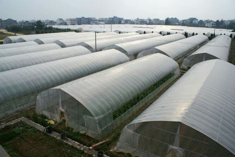 蔬菜大棚6/8/宽热度锌厂家直销包用15年左右可定制