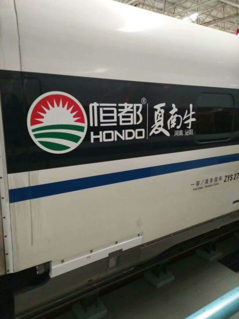 夏南牛400~600斤