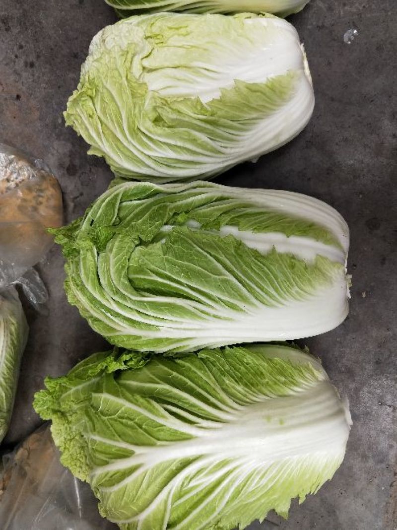 黄心白菜7斤以上毛菜