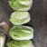 黄心白菜7斤以上毛菜