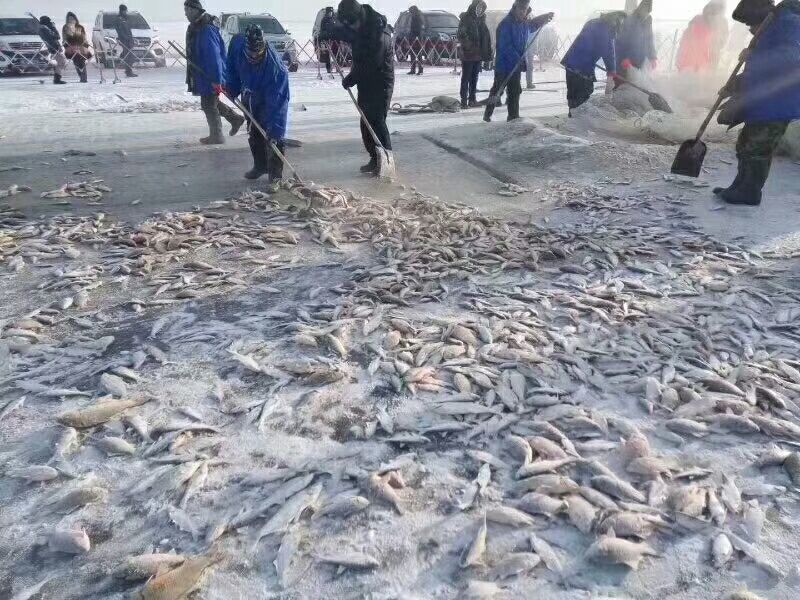 火焙鱼稻谷香味