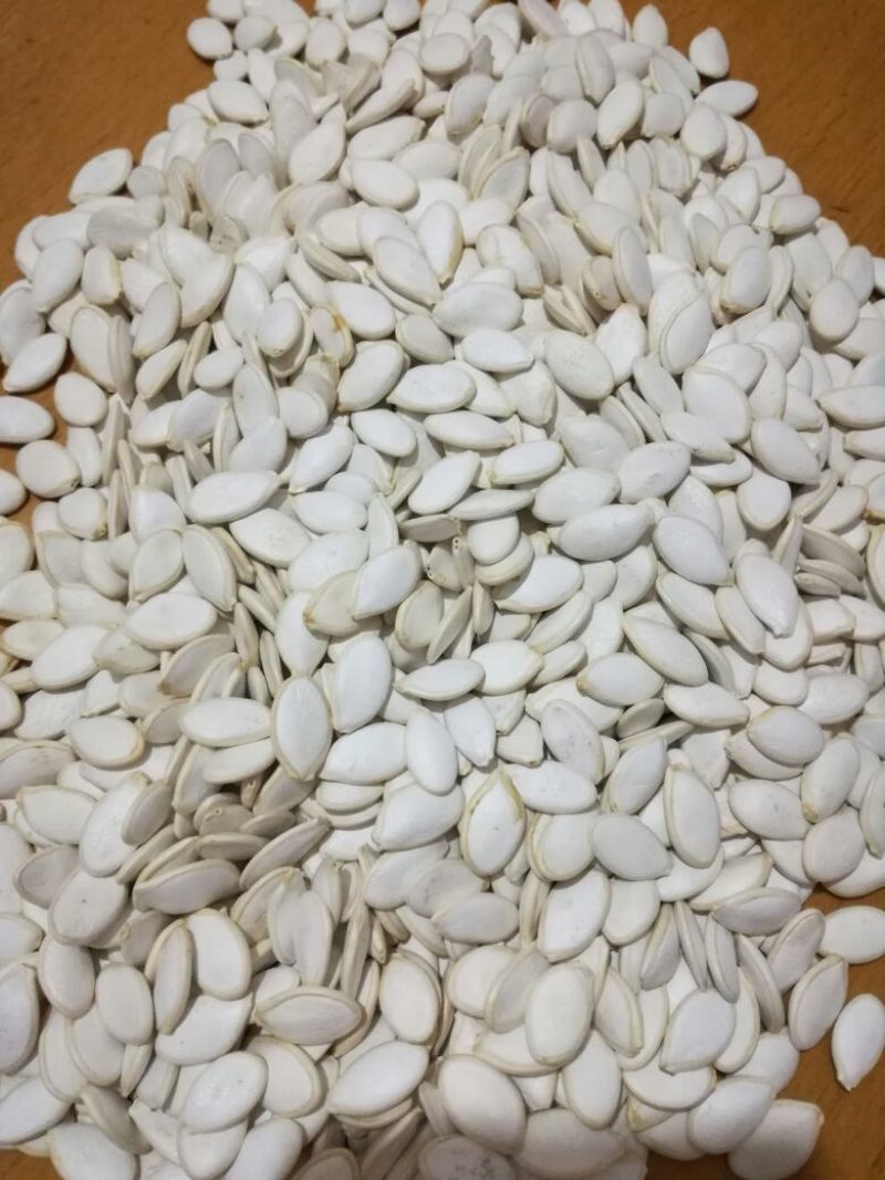 南瓜子散装生饱满度好净度好，一手货