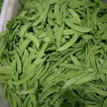 云南精品夹豆大量上市保质保量。。。。。。。