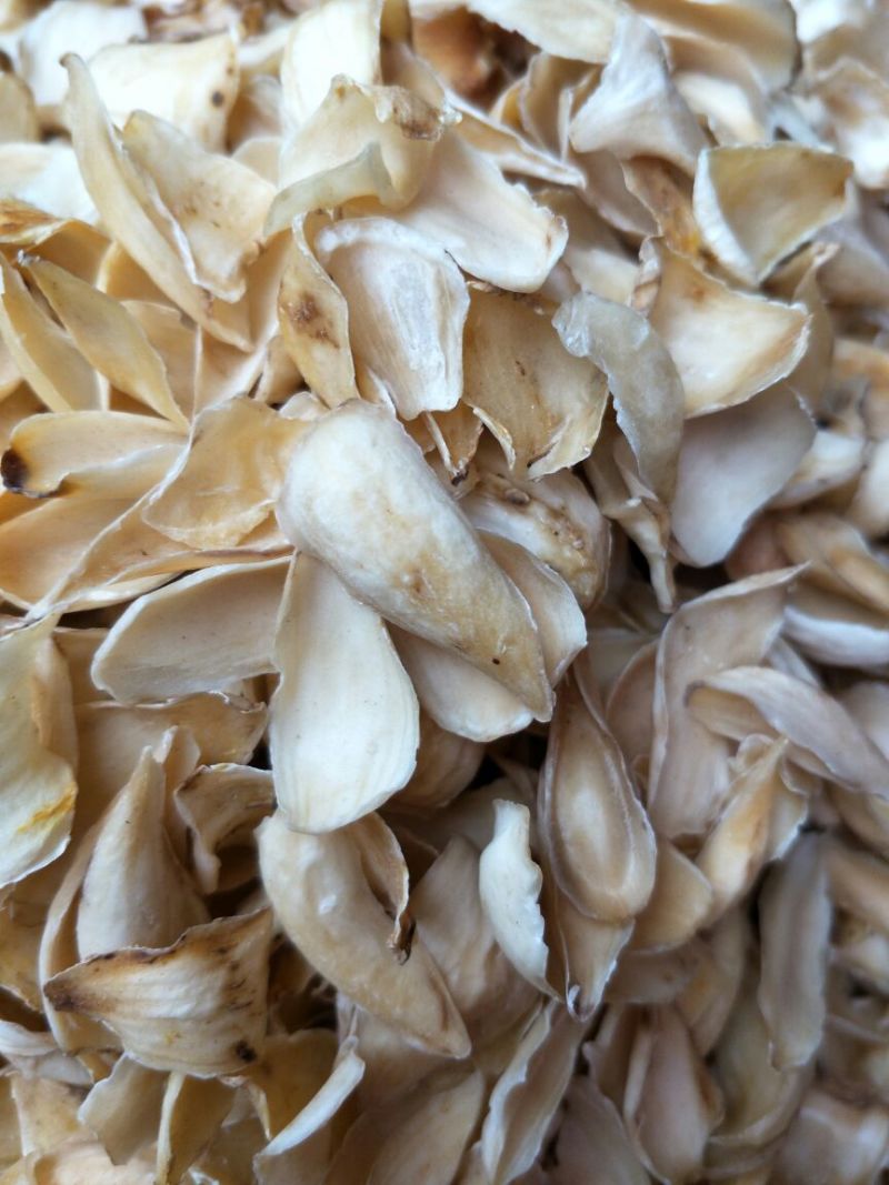 龙山百合三头药食两用