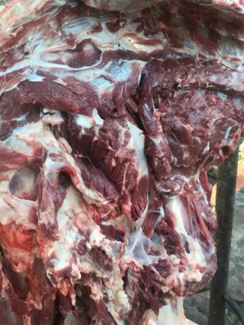 驴肉鲜货，带皮驴肉，去皮驴肉，活驴现杀。绿色养殖。