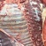 驴肉鲜货价真价实现杀现卖量大优惠欢迎电话联系合作